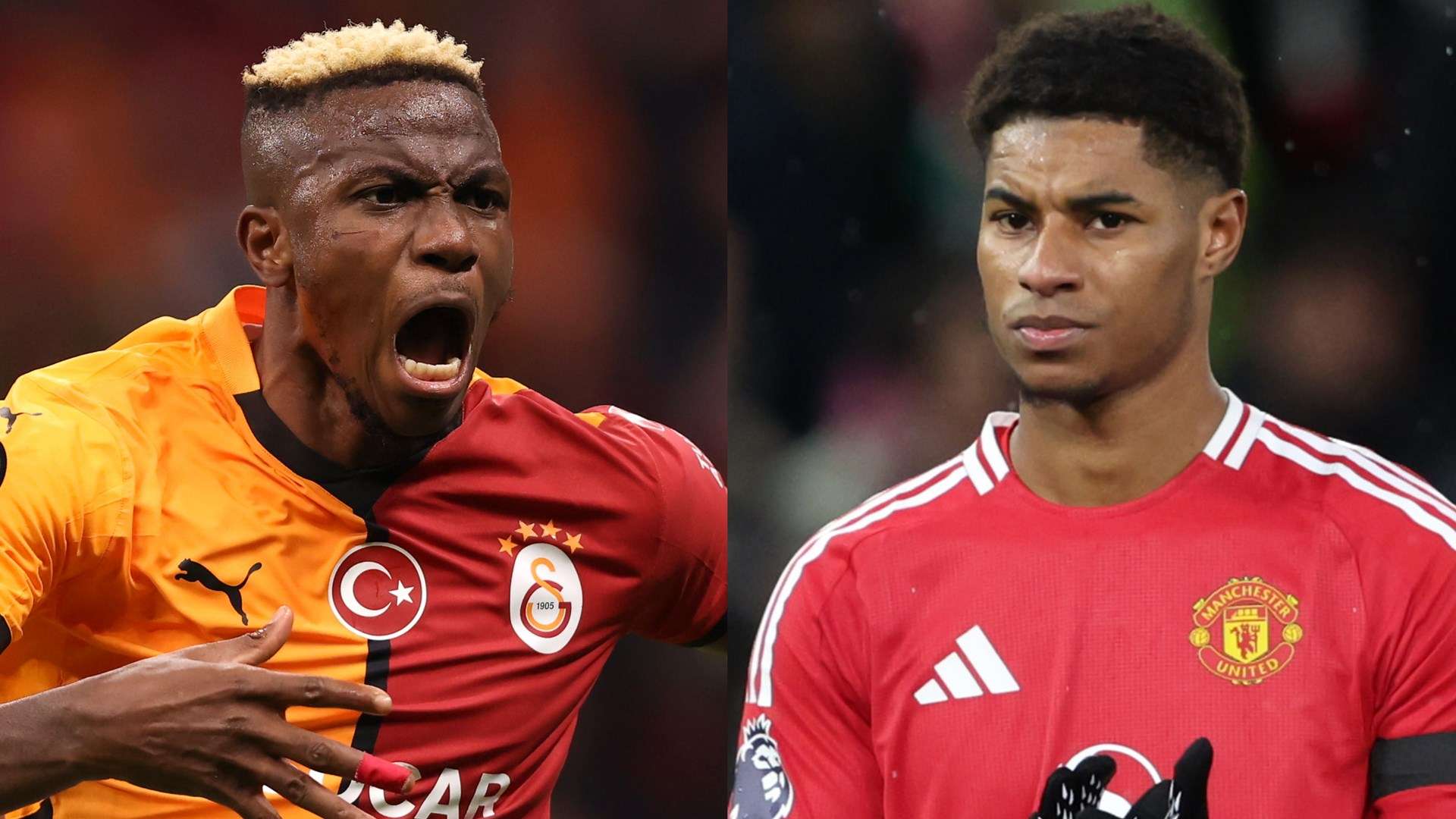 明星球員斯 明星球員斯